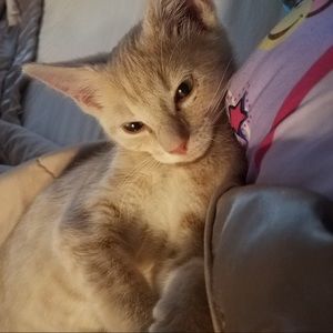 Meet your Posher, Tonya